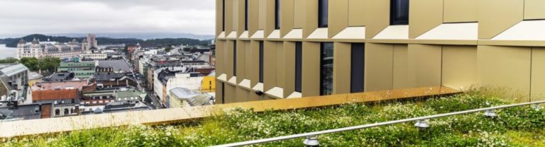 På toppen av prakthotellet Clarion Hotel The Hub, midt i Oslo sentrum, ligger et skjult grønt tak på 200 kvadratmeter. Glasopor er en viktig brikke.