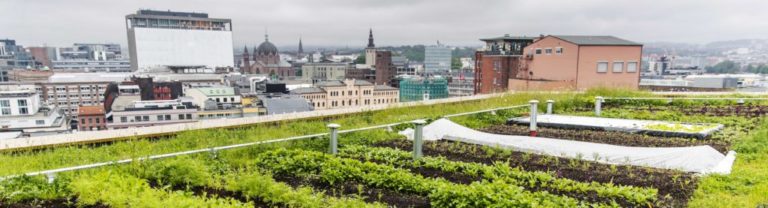 Grønt tak med Glasopor på The HUB