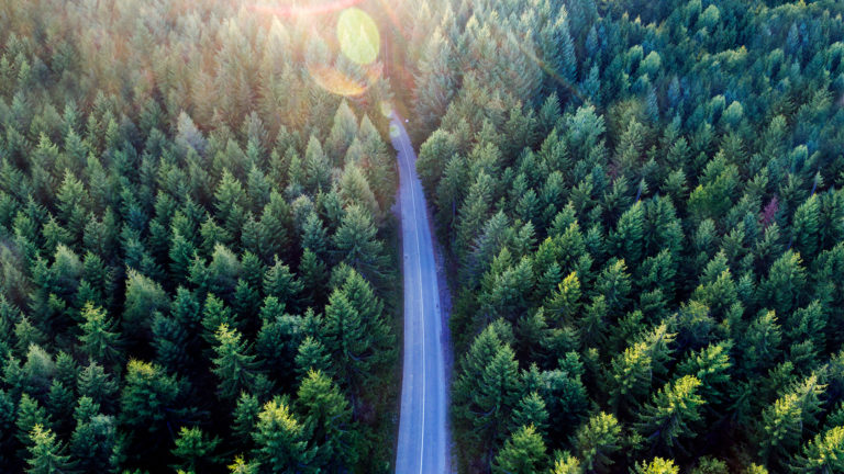 Foamit sustainability report